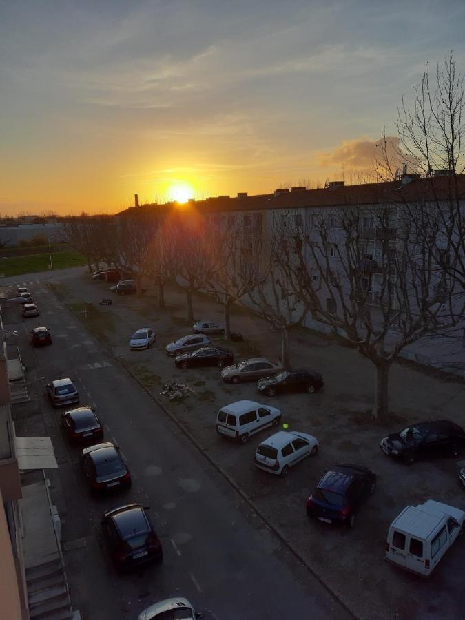 Aux Alyscamps Daire Arles Dış mekan fotoğraf
